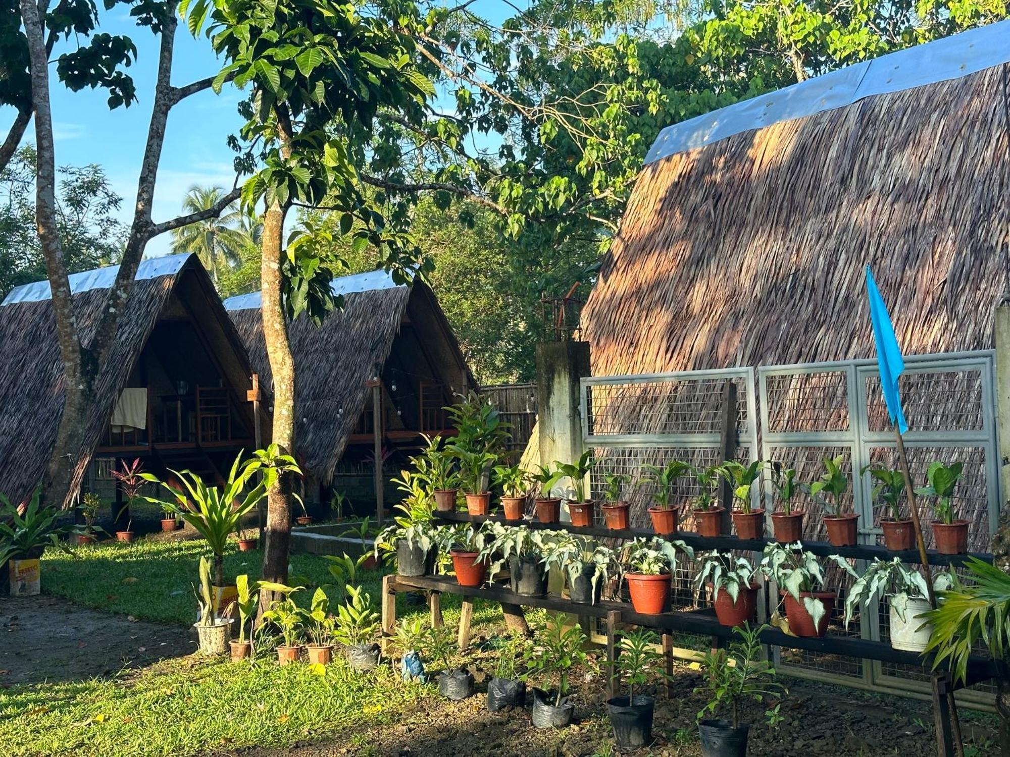 Hiraya Camp Site - Free Use Of Scooter For Nipa Huts Hotel El Nido Exterior photo
